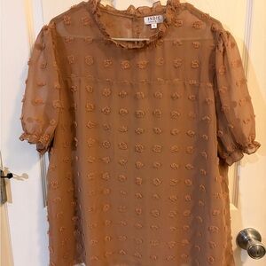 Women's Brown Sheer Blouse